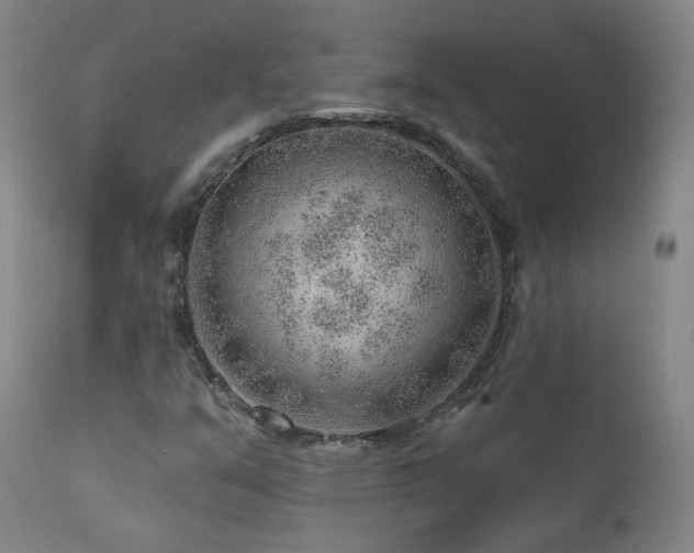 X0000111941351200907271403