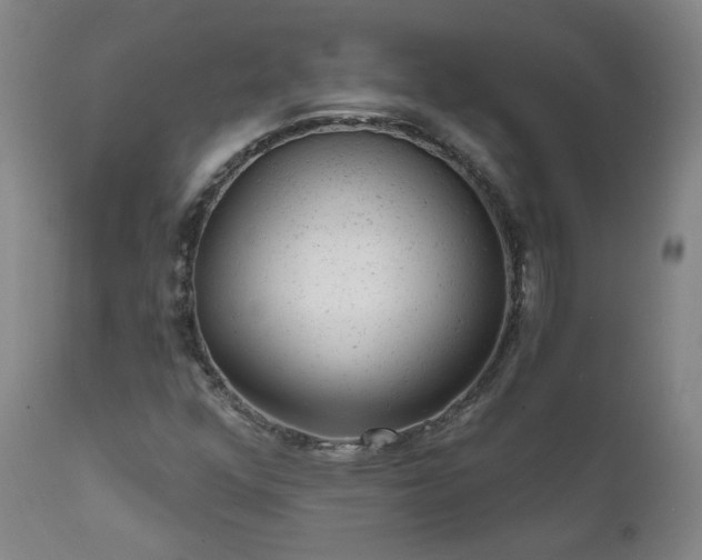 X0000111941352200907271403