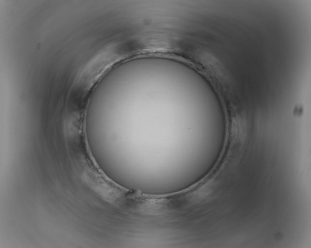 X0000111941353200907271403