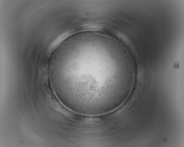 X0000111941354200907271403
