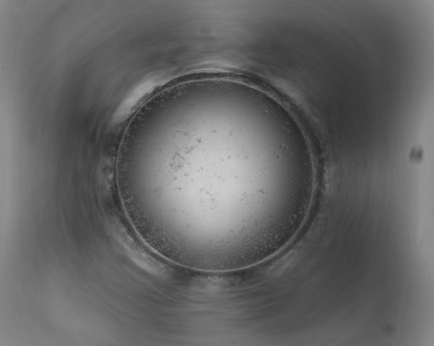 X0000111941355200907271403