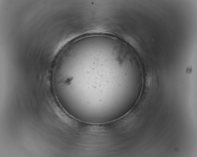 X0000111941356200907271403