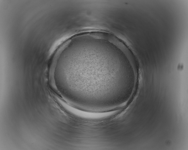 X0000111941357200907271403