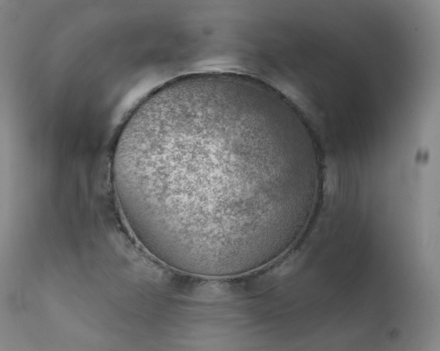 X0000111941358200907271403