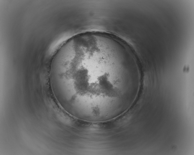 X0000111941359200907271403