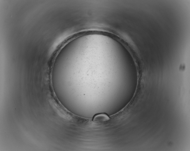 X0000111941360200907271403