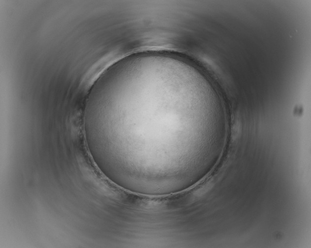 X0000111941361200907271403