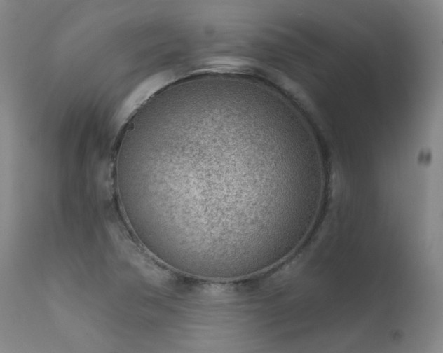 X0000111941362200907271403