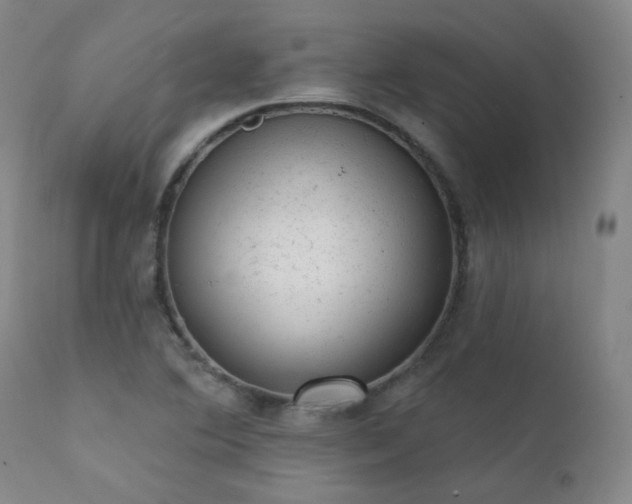 X0000111941364200907271403