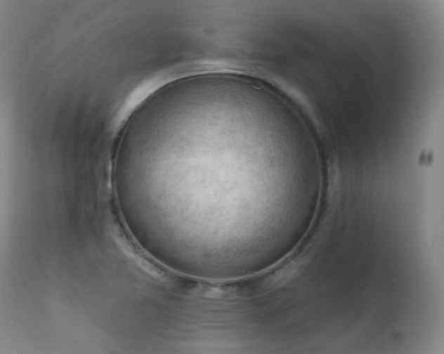 X0000111941365200907271403