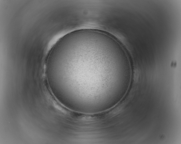 X0000111941366200907271403