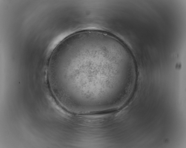 X0000111941367200907271403