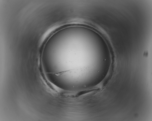 X0000111941368200907271403