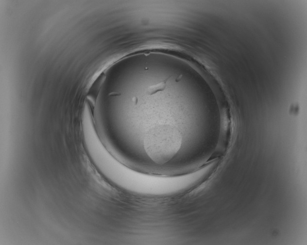 X0000111941369200907271403