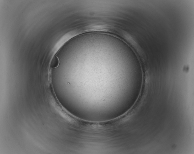 X0000111941370200907271403