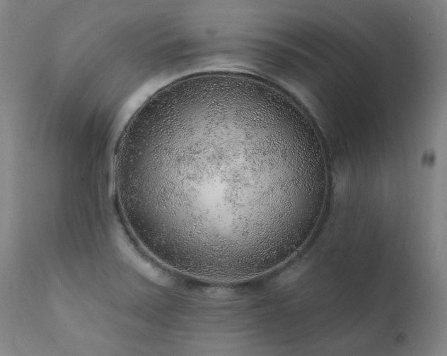 X0000111941371200907271403