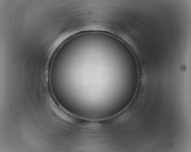 X0000111941372200907271403