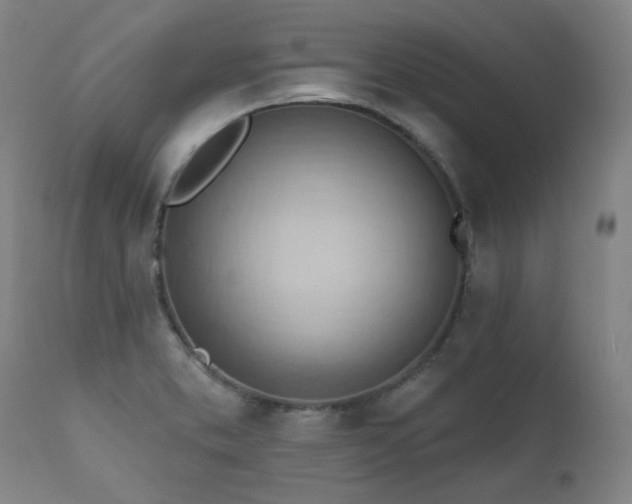 X0000111941373200907271403