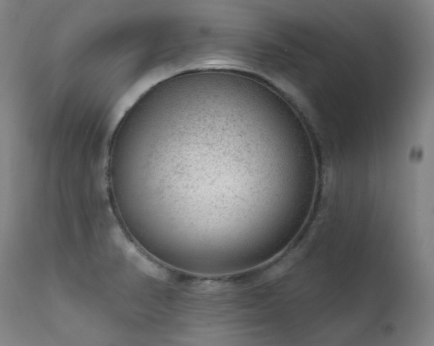 X0000111941374200907271403