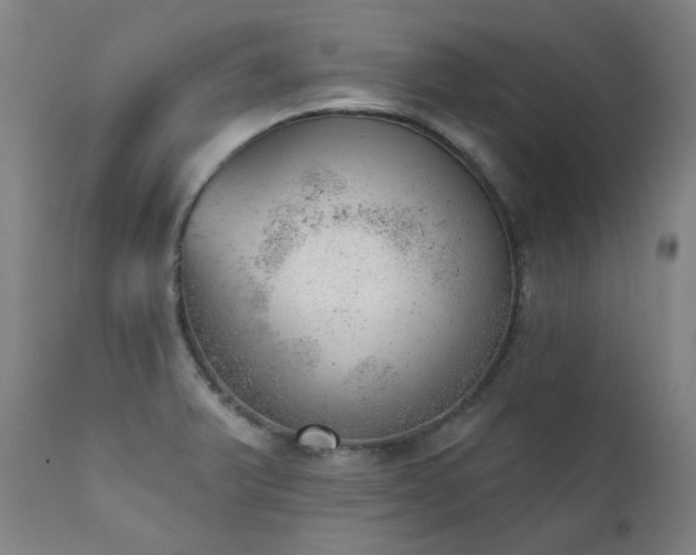 X0000111941375200907271403