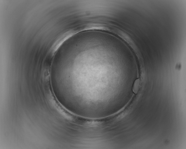 X0000111941377200907271403