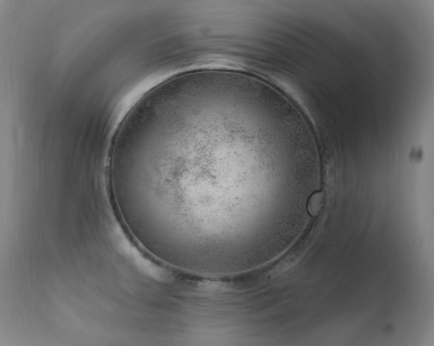 X0000111941379200907271402