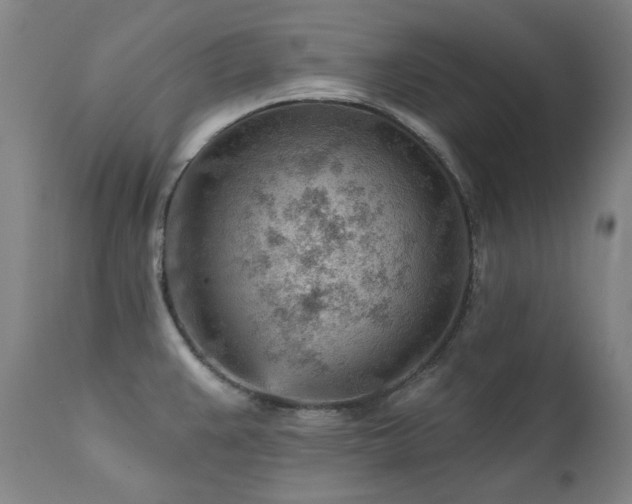 X0000111941383200907271402