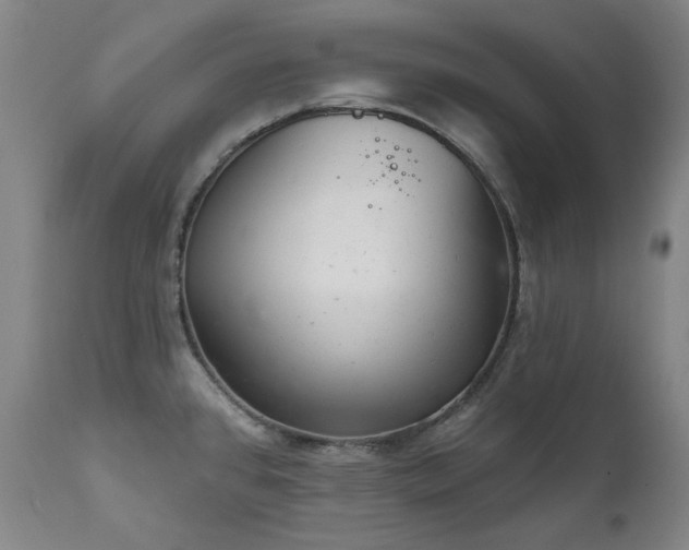 X0000111941384200907271402