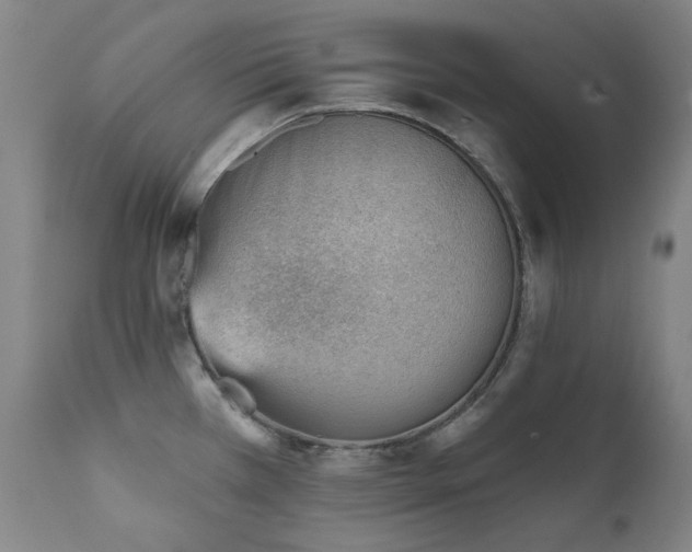 X0000111941385200907271402
