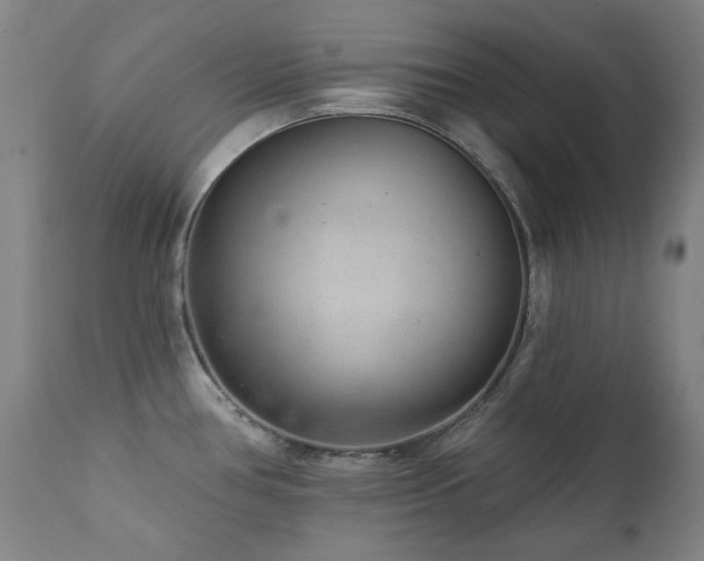 X0000111941386200907271402