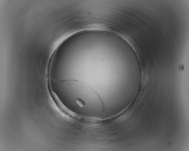 X0000111941387200907271402
