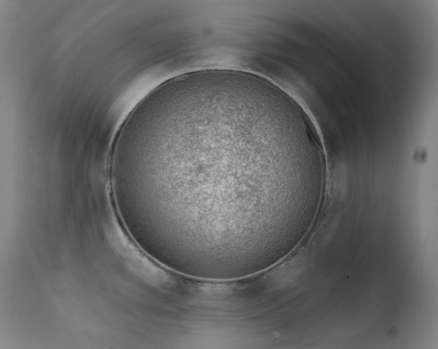 X0000111941389200907271402