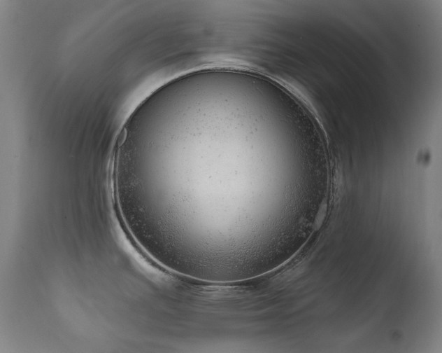 X0000111941391200907271402