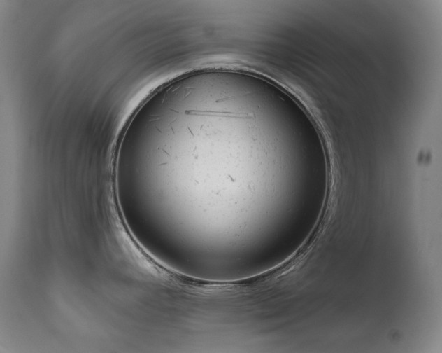 X0000111941392200907271402