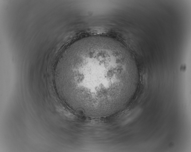 X0000111941393200907271401