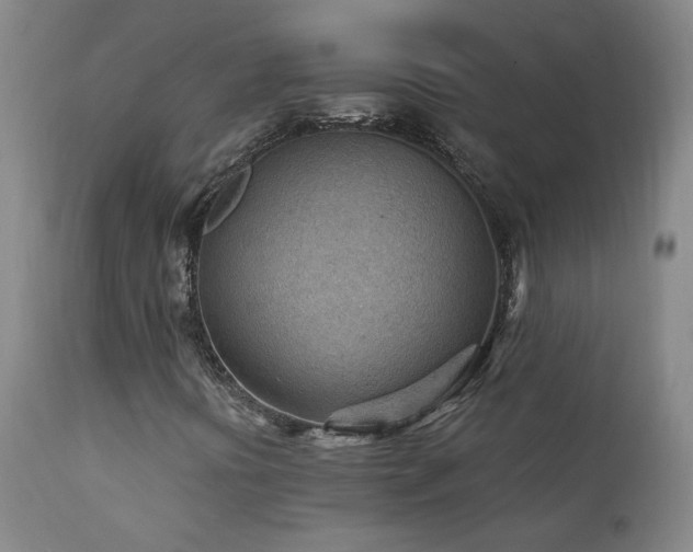 X0000111941394200907271401