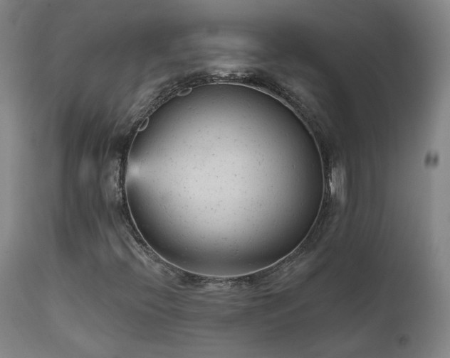 X0000111941396200907271401