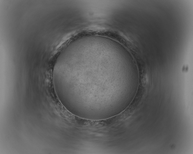 X0000111941397200907271402