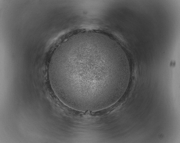 X0000111941398200907271402