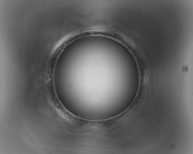 X0000111941400200907271402