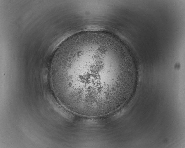 X0000111941401200907271402