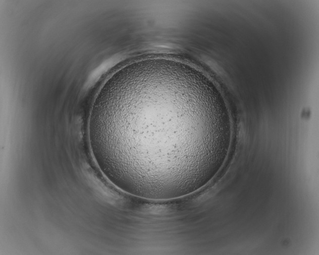 X0000111941402200907271402