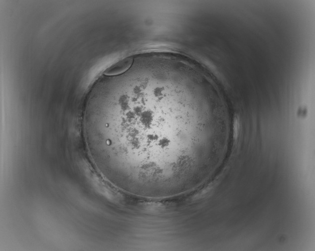 X0000111941405200907271402