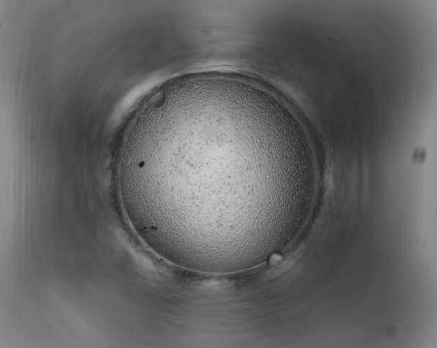 X0000111941406200907271402