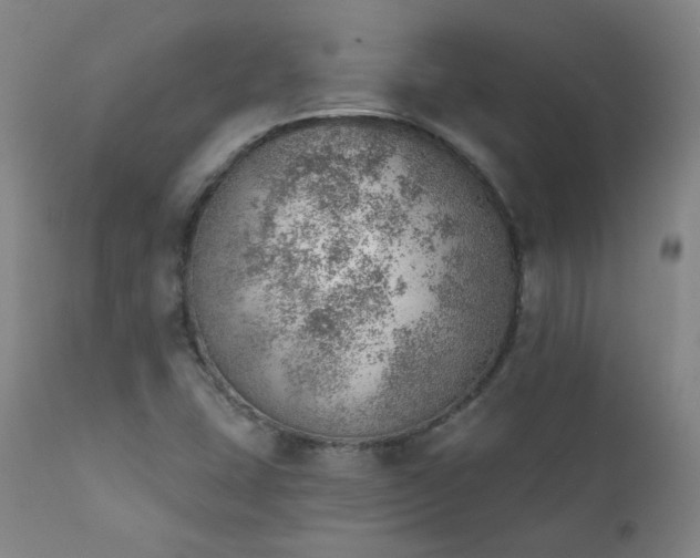 X0000111941407200907271402