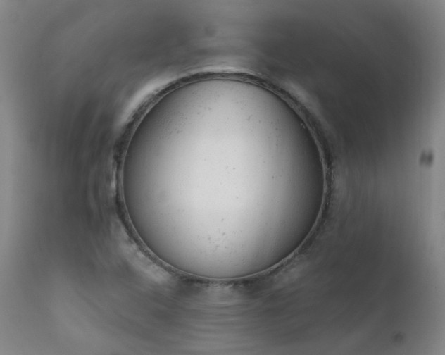 X0000111941408200907271402