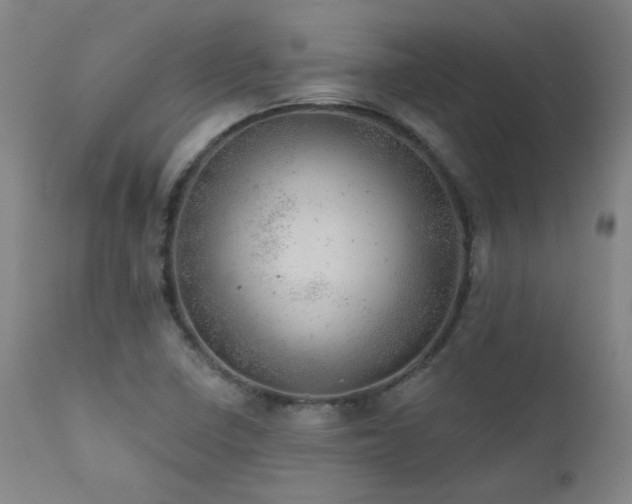 X0000111941410200907271402