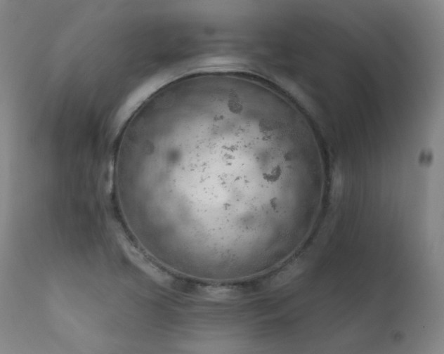 X0000111941413200907271402