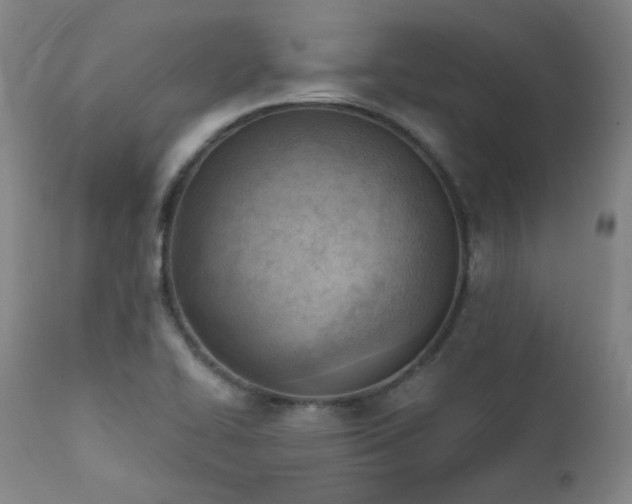 X0000111941414200907271402