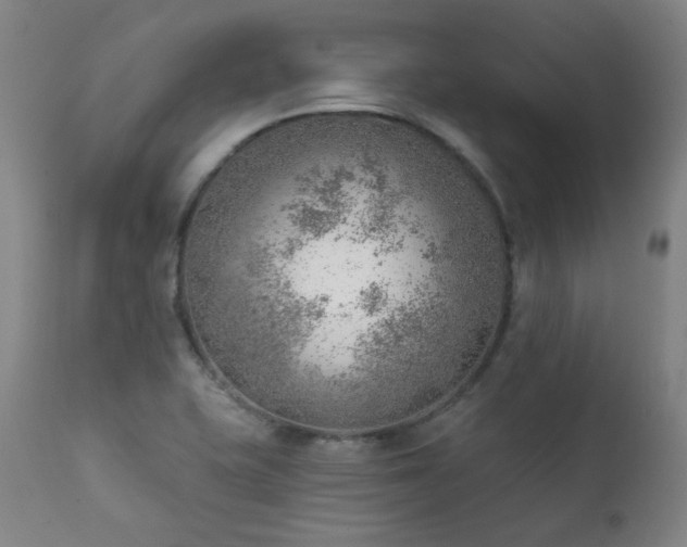 X0000111941415200907271402